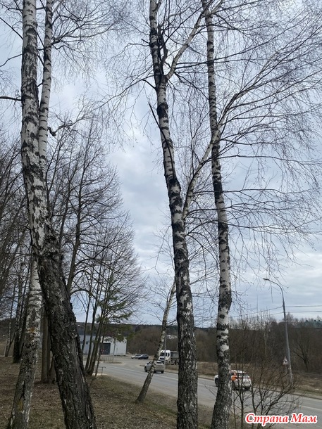 Отчет за неделю )