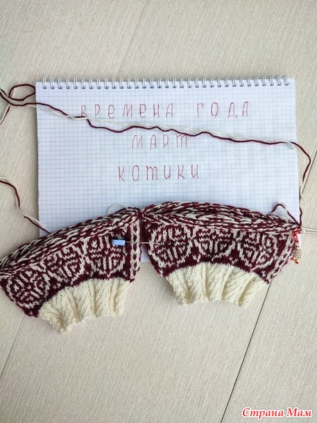 Времена года. Март. Котики.