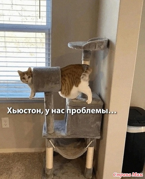   ,  -   !))