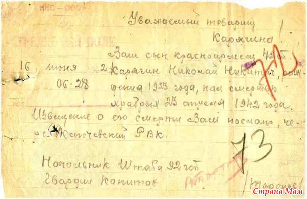 Истории из семейного архива