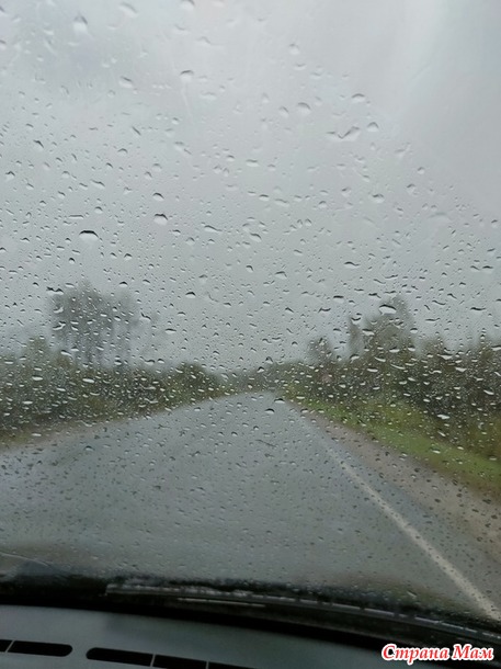 Огородное- прошу советов по пионам- замухрышкам.