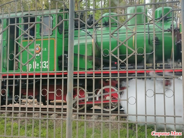 Огородное- прошу советов по пионам- замухрышкам.