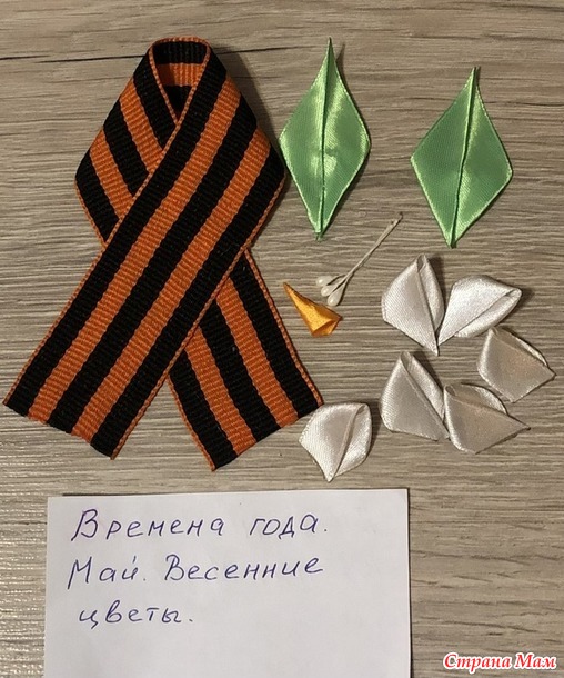 Времена года. Май. Нарциссы