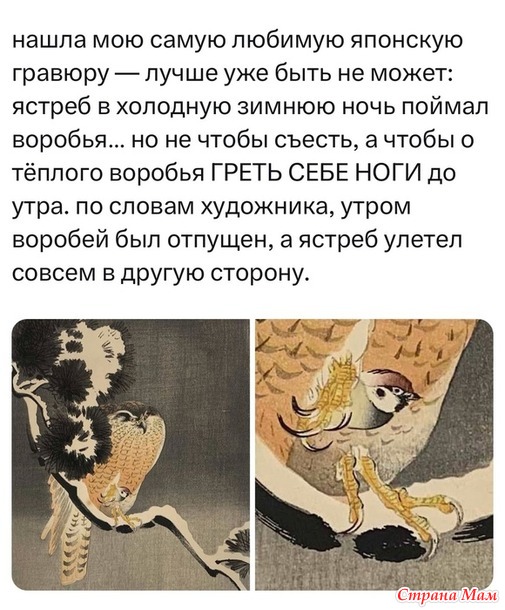   ))