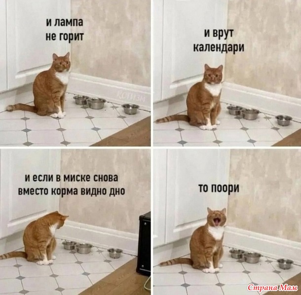  ,  ""))