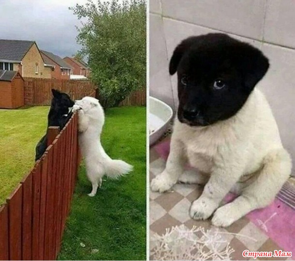 ,  ))