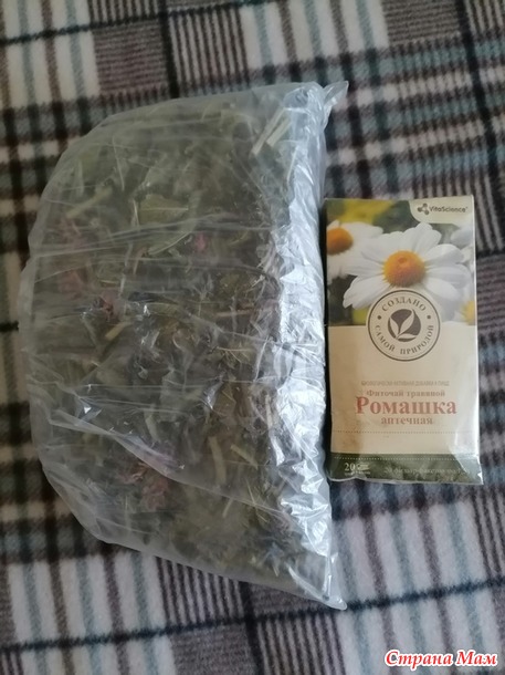 И снова Норка. Отчёт.