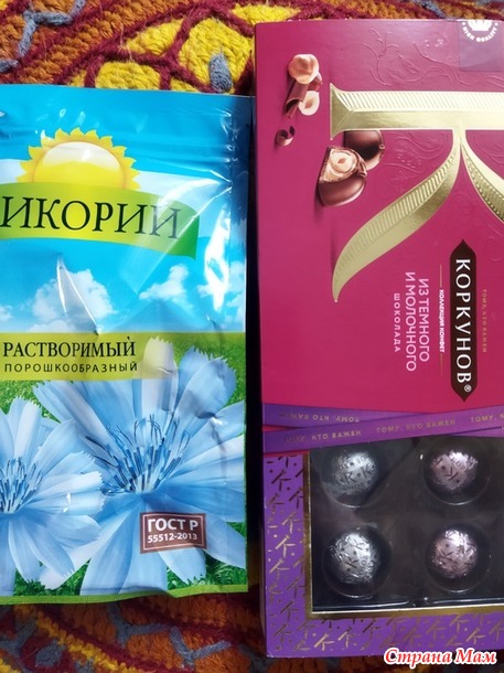Норка хомяка. Отчет.