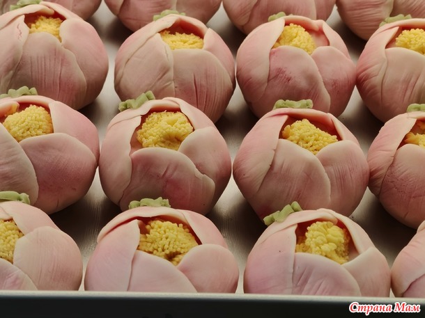 ������������ ���� ��������� ������.  ��������.