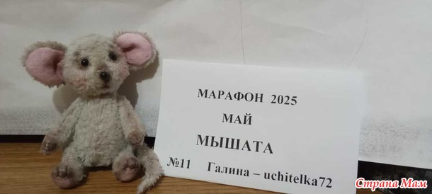 -2025,  - .   ()