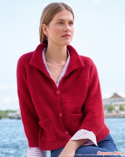 Кардиган-реглан из журнала Nordic Knits 3 Lana Grossa. Спицы.