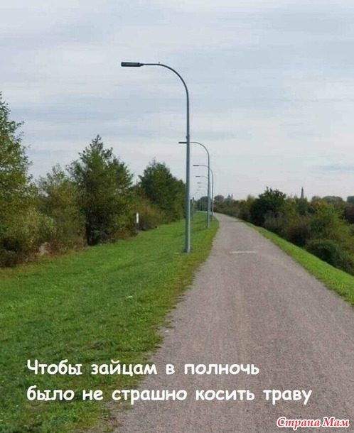    ))