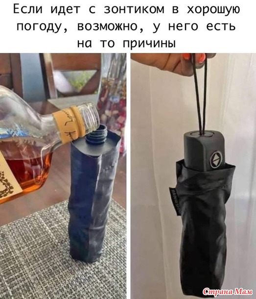       ))