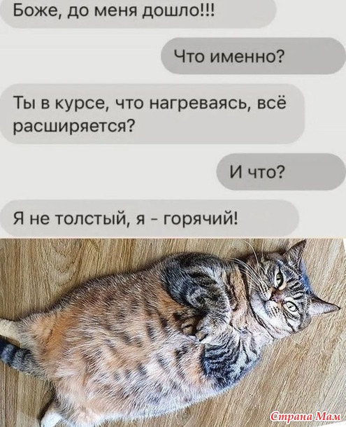    ))