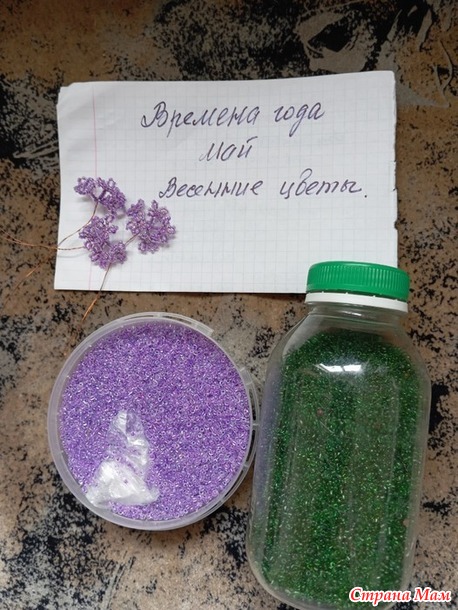 Времена года. Май. Веточка сирени.