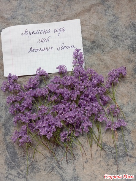 Времена года. Май. Веточка сирени.