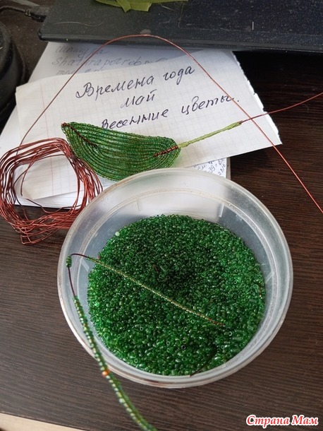 Времена года. Май. Веточка сирени.