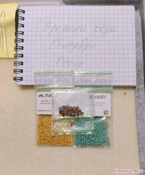 Времена года. Сентябрь. Шкатулочка "Тыква"