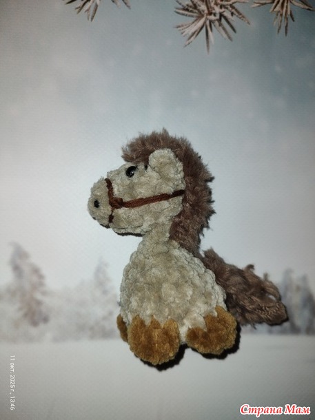 ���������-���������� ����� 2025