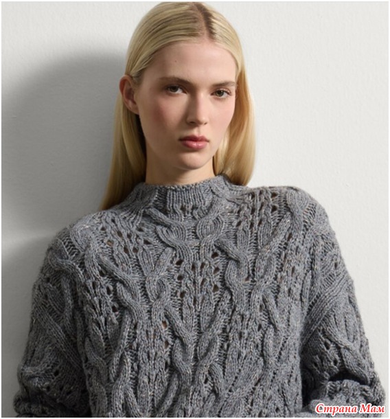       2025-2026 -     .   + .