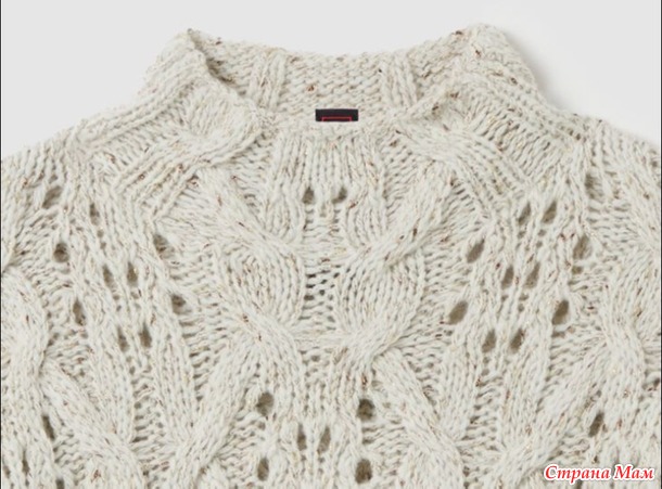       2025-2026 -     .   + .