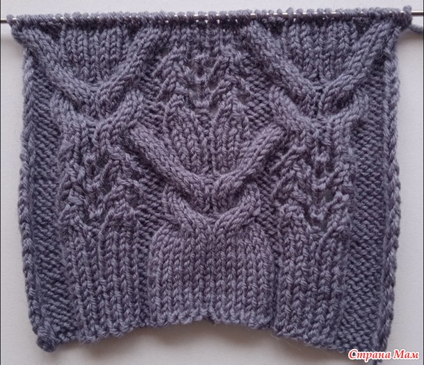       2025-2026 -     .   + .