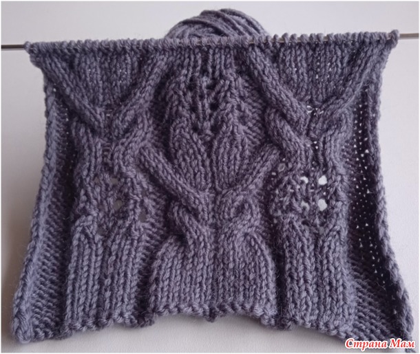       2025-2026 -     .   + .