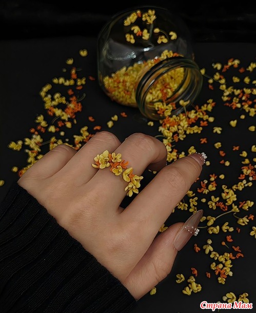 ����� �����.  ��������� ��� ������ 2025.