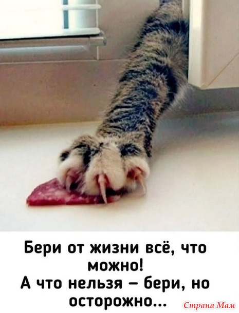 ��� � ���� ���� �������!)