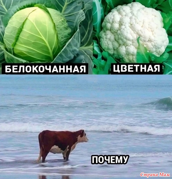  !))