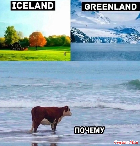  !))