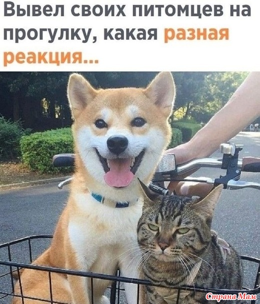  .   ))
