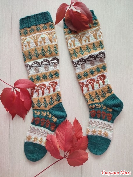 Времена года. Сентябрь. Гольфы с грибами.