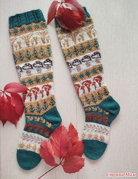 Времена года. Сентябрь. Гольфы с грибами.