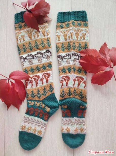 Времена года. Сентябрь. Гольфы с грибами.