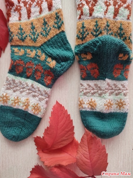 Времена года. Сентябрь. Гольфы с грибами.