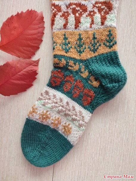 Времена года. Сентябрь. Гольфы с грибами.