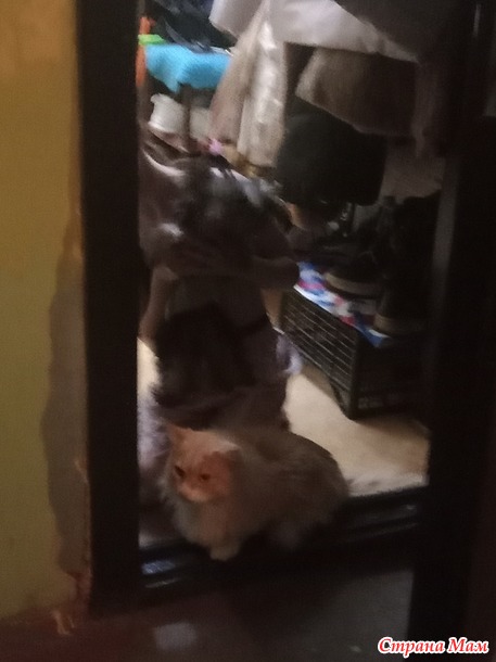 Ну вот и всё, ну вот и всё.