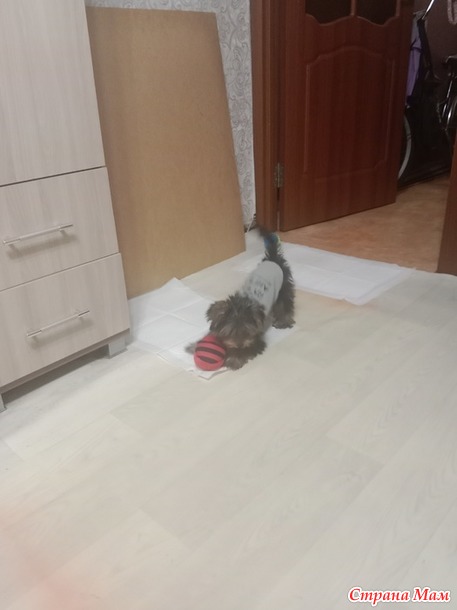 Ну вот и всё, ну вот и всё.