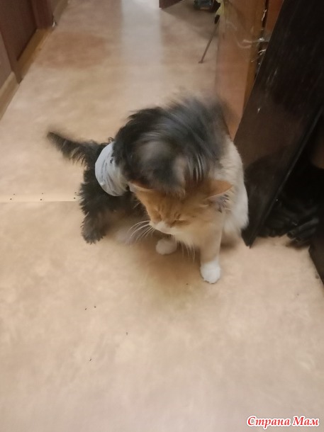 Ну вот и всё, ну вот и всё.