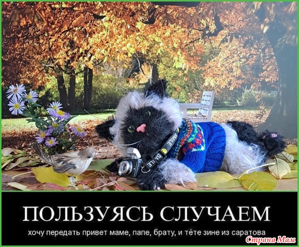Немного юмора в фото моих работ.
