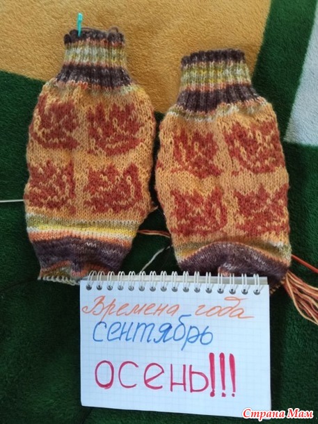 Времена года. Сентябрь. Осенние носочки.