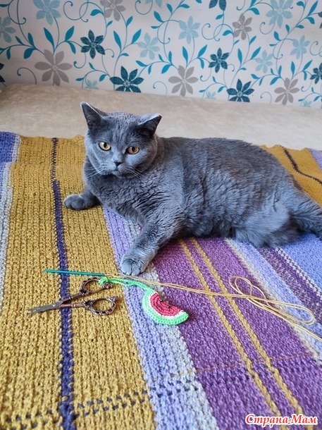 Довяжика. Плед Имитация тканого полотна