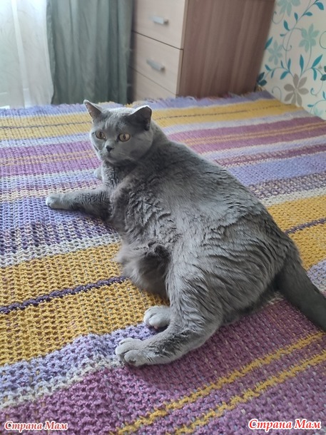 Довяжика. Плед Имитация тканого полотна