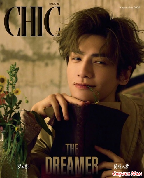 В тишине твоих библиотек.  Или как все началось.