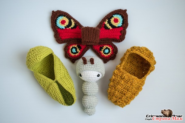 Бабочка Павлиний глаз