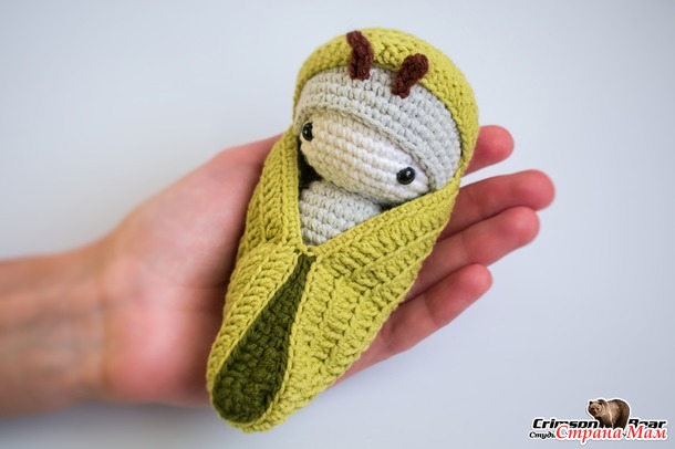 Бабочка Павлиний глаз