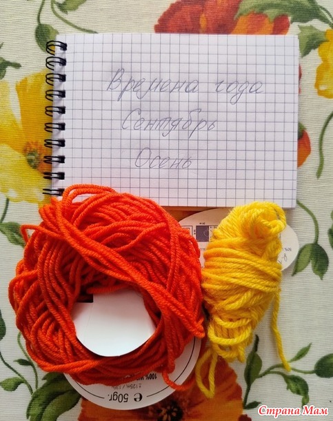 Времена года. Сентябрь. Осенние котики