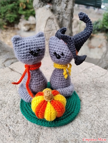 Времена года. Сентябрь. Осенние котики