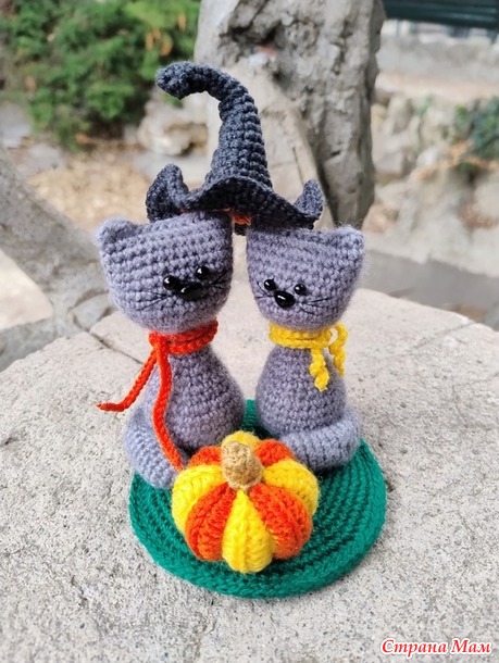 Времена года. Сентябрь. Осенние котики